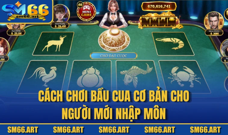 Cách chơi Bầu Cua cơ bản cho người mới nhập môn